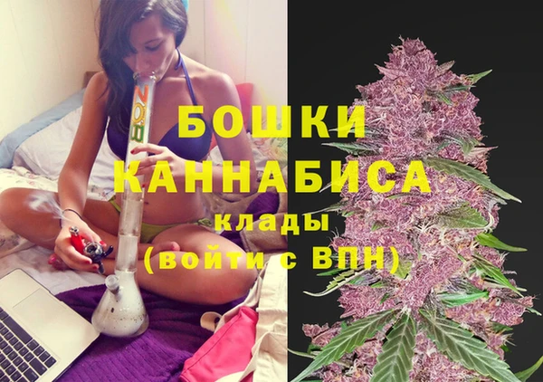 прущие грибы Белая Калитва