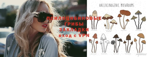 ГАЛЛЮЦИНОГЕННЫЕ ГРИБЫ Алексеевка