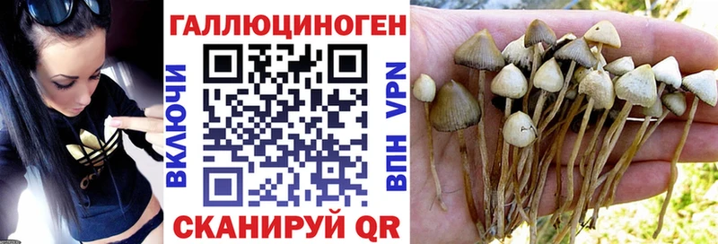 Псилоцибиновые грибы ЛСД  Нарткала 